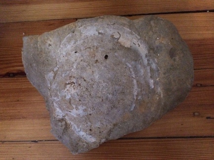 A fossilized scallop pressed into rock.